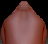 True Kemono Anole Lizard Head Base