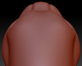Gender Neutral Persian Cat Head Base