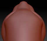 Gender Neutral Pallas Cat Head Base