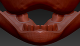 Small Horse Realistic Jawset Style 2