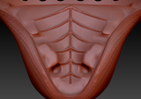 Medium Angel Dragon Palate