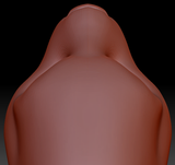 Gender Neutral Asian Small-clawed Otter Static Jaw Head Base Variant 1