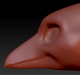 Feminine Raven Head Base
