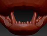 Medium Bear Realistic Style Jawset