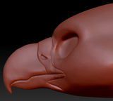 Feminine Harpy Gryphon/Eagle Head Base