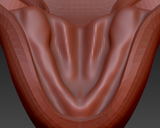 Small Sergal Palate