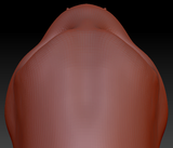 Feminine Electric Eel Head Base