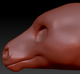 Gender Neutral Horse Head Base Variant 2