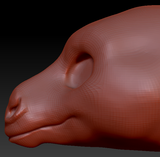 Gender Neutral Donkey Head Base
