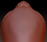 Gender Neutral Budgie Static Jaw Head Base