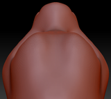 Ampwave Head Base