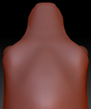 Realistic Goat/Sheep Static Jaw Head Base Variant 1
