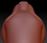 Gender Neutral Somali Cat Head Base