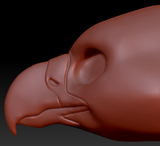 Gender Neutral Harpy Gryphon/Eagle Head Base