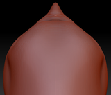 Western Kemono Blue Jay Head Base