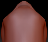 True Kemono Somali Cat Head Base