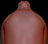 True Kemono Donkey Head Base