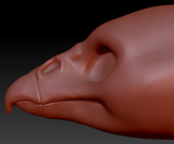 Gender Neutral Turkey Vulture Head Base