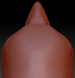 Gender Neutral Macaw Parrot Static Jaw Head Base