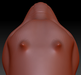 Gender Neutral Birdcat Head Base