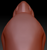 Feminine Wyvern Head Base