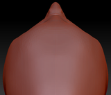 Realistic Barn Owl Head Base