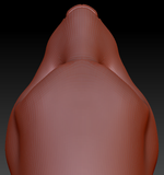 Gender Neutral Ferret Head Base