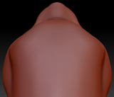 Western Kemono Somali Cat Static Jaw Head Base Variant 1