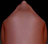 True Kemono Ferret Head Base