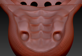 Large Carnivore Palate