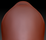 Feminine Bug Head Base Variant 1