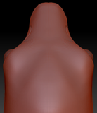 Realistic Goat/Sheep Static Jaw Head Base