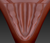 Medium Sergal Palate