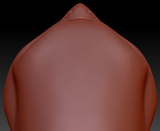 Feminine Barn Owl Static Jaw Head Base