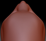 True Kemono Asian Small-clawed Otter Head Base