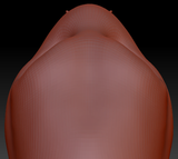 Gender Neutral Electric Eel Head Base