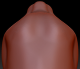 True Kemono Lion Head Base