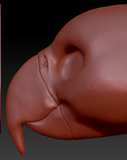 Gender Neutral Macaw Parrot Head Base