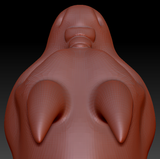 Gender Neutral Short-nosed Angel Dragon Head Base Complex Variant 1