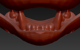 Small Skunk Realistic Style Jawset