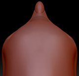 True Kemono Rockhopper Penguin Head Base
