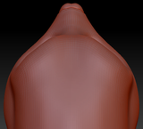 Western Kemono Opossum Head Base