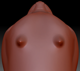 True Kemono Birdcat Head Base