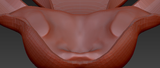 Small Bunny Palate