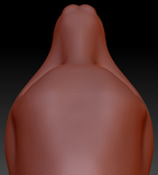 Gender Neutral Llama Head Base