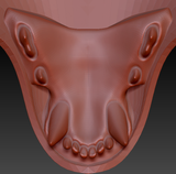 Small Carnivore Toony Style Jawset