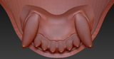 Mini Realistic Dragon Jawset