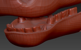 Medium Horse Jawset Realistic Style 2
