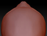 Slow Loris Head Base