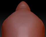 Gender Neutral Quaker Parrot Head Base